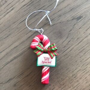 You are Special Candy Cane Ornament